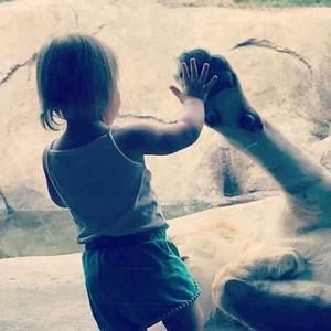 Meet your Posher, Shalissa